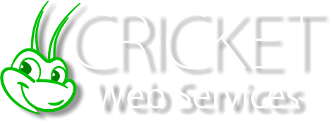 Cricket Web Services